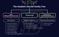 The-Anabolic-Steroid-Family-Tree-Derek-from-MorePlatesMoreDates.com_-scaled.jpg